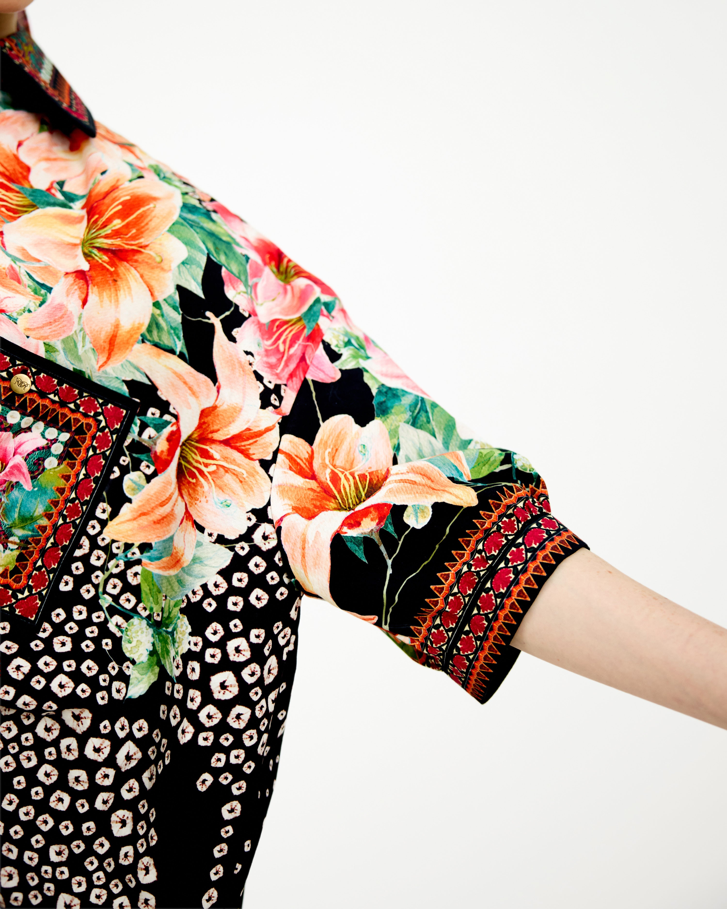 Lilium : Asita - Black