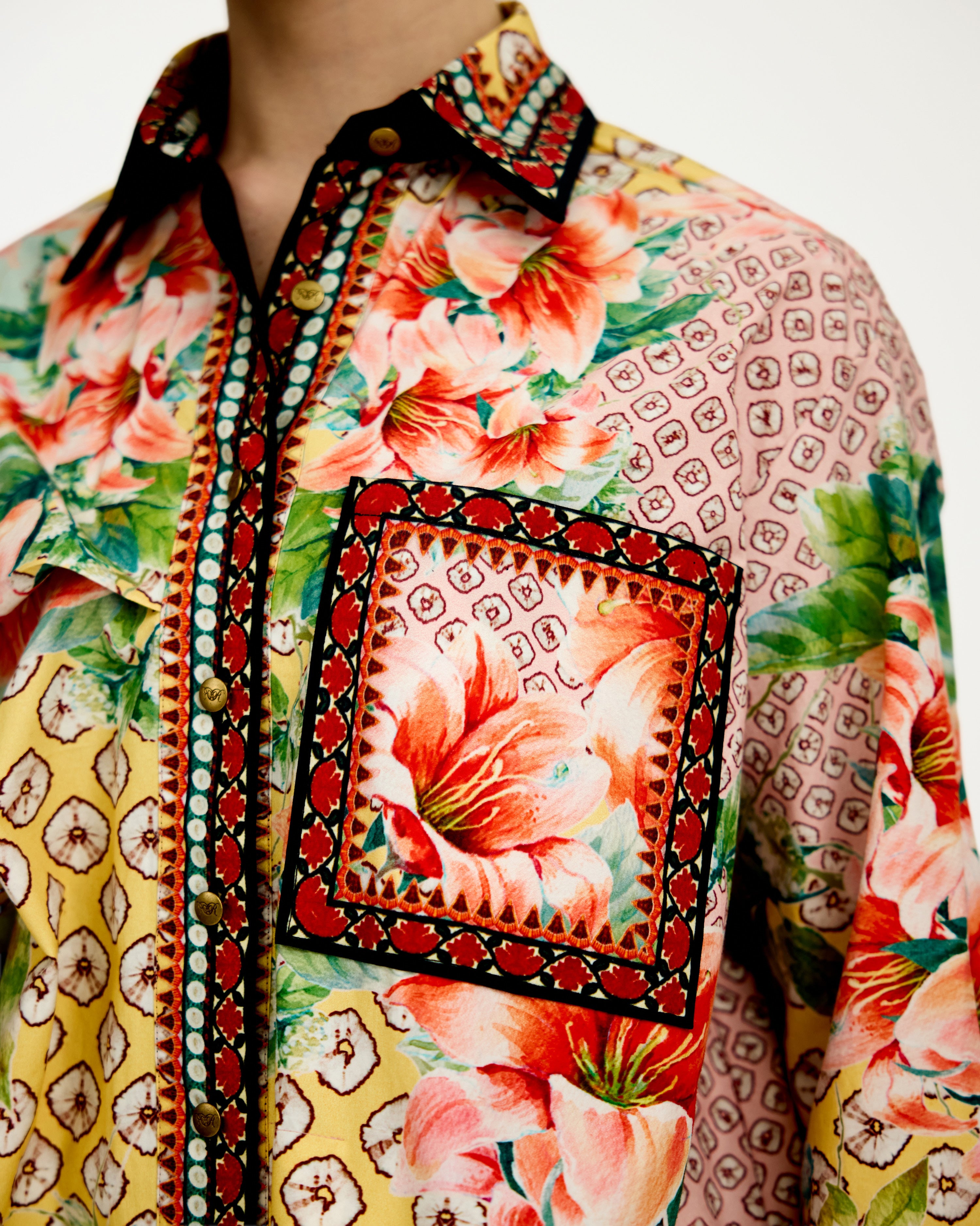 Lilium : Asiya - Multi