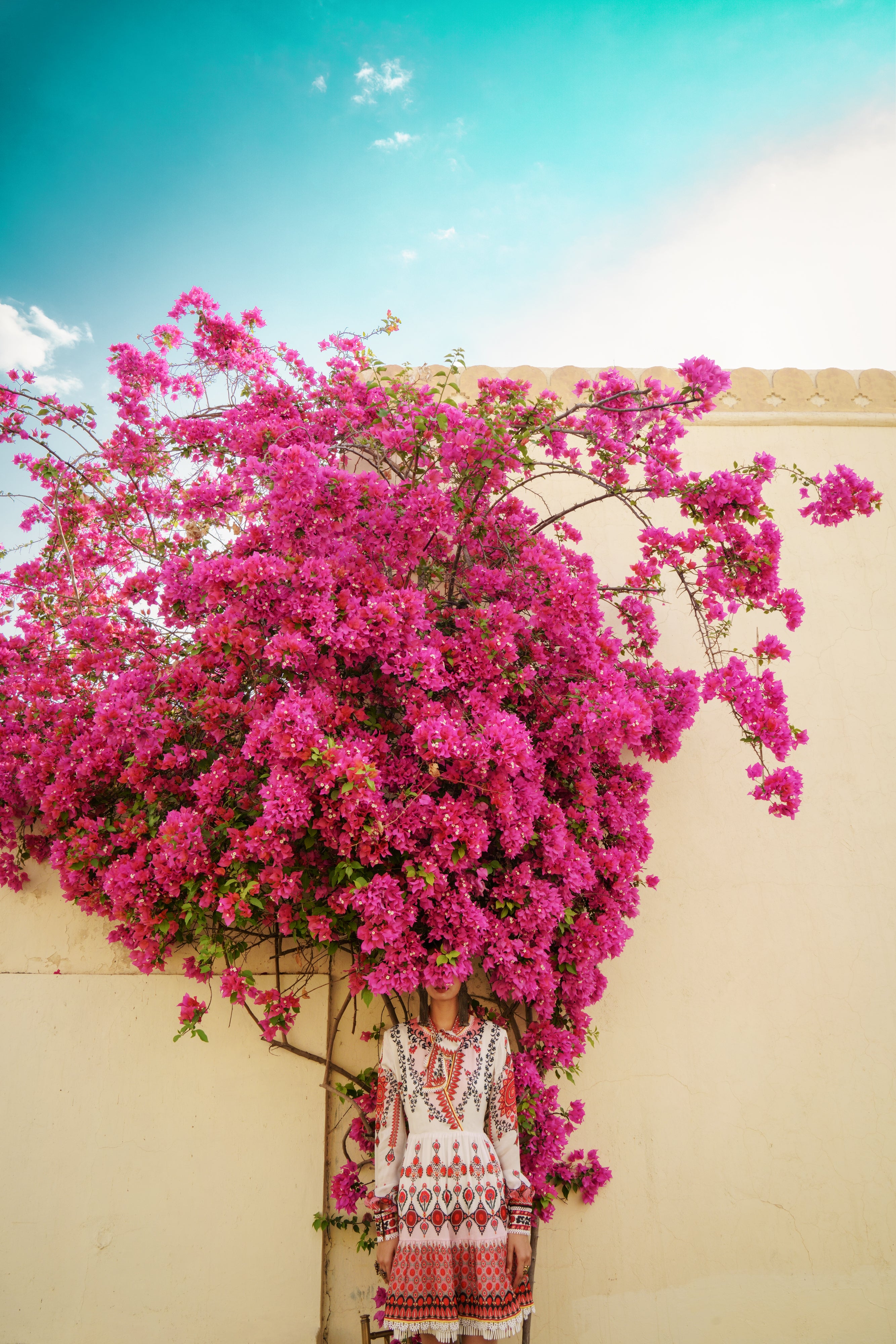 Tashkent : Aida - Ivory/Blush